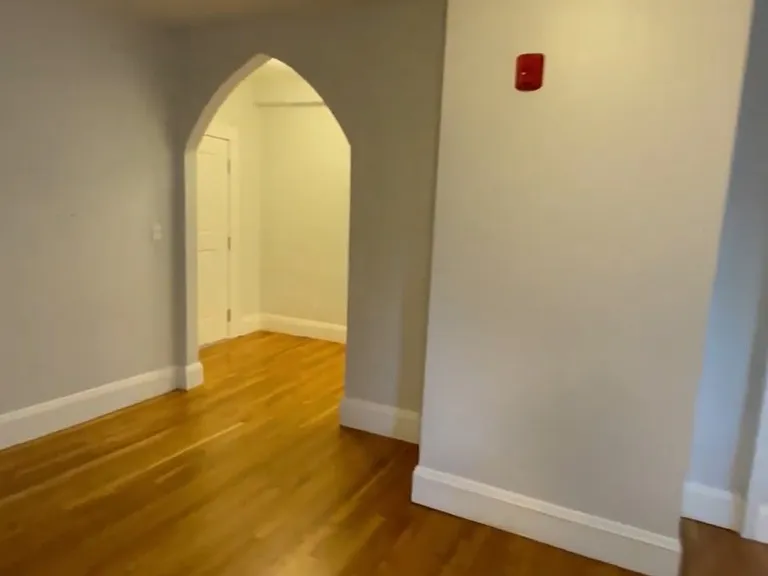 239 Lafayette St #4 — Photo 5