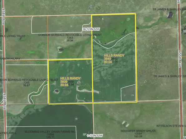 138th & 454th Ave, Summit, SD 57266