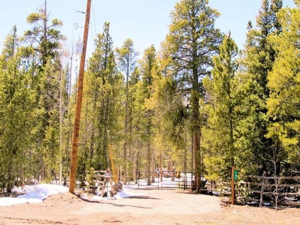 100 Clover Ct, Fairplay, CO 80440