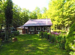 467 Dyer Rd, Rose City, MI 48654