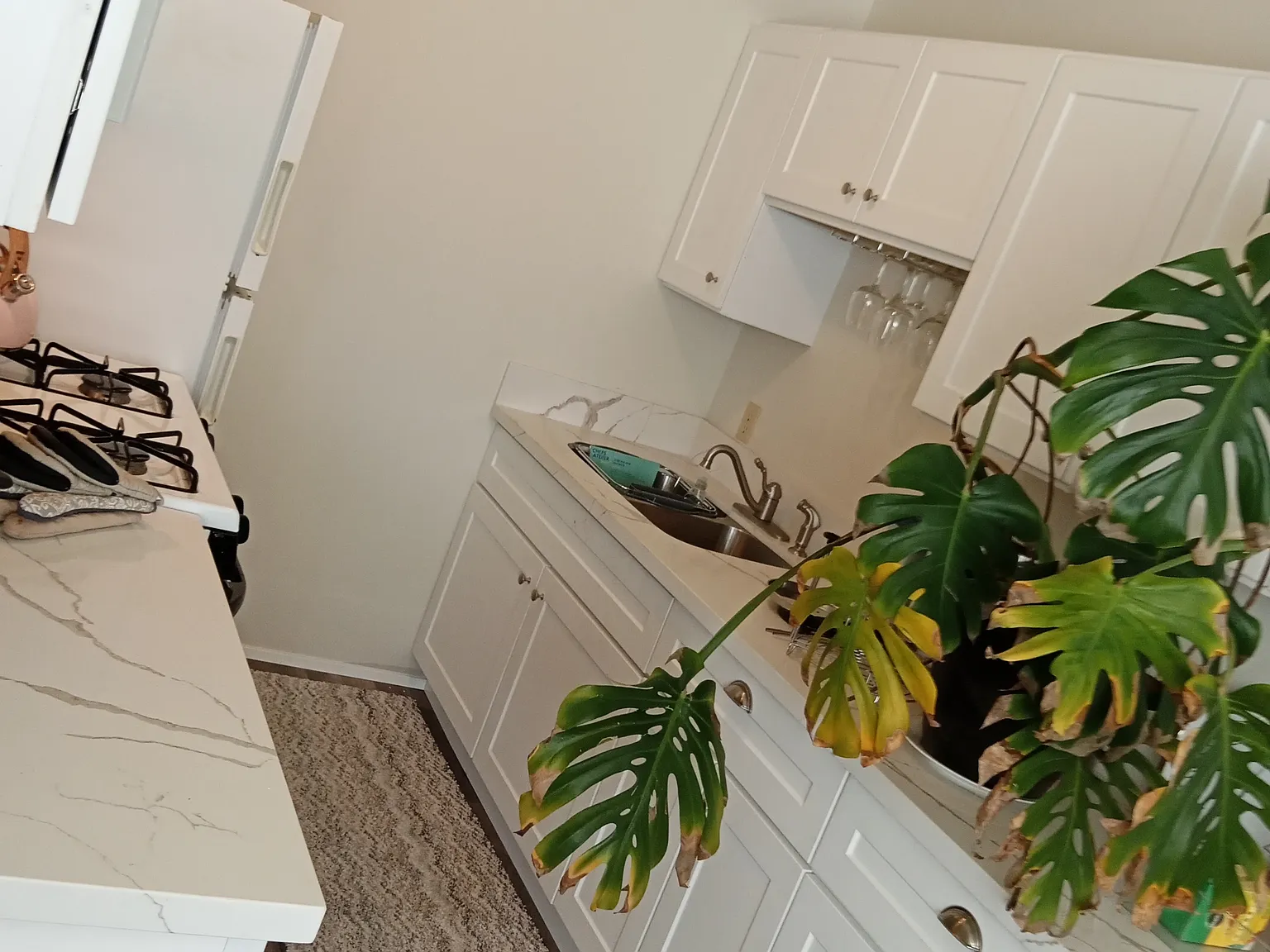 2760 Heather Ln — Photo 3