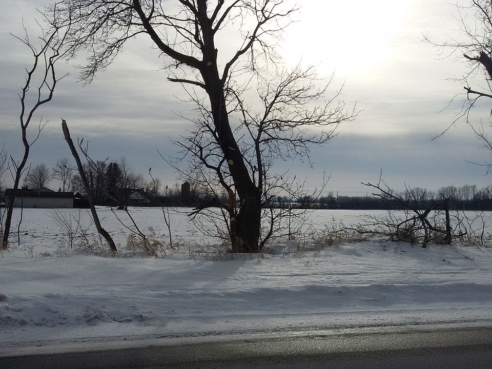 1st image of Mayflower Dr #110043902