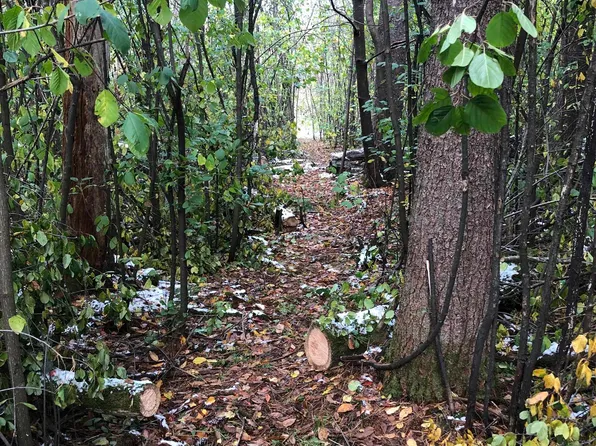 E 3rd Ave #2, Weyauwega, WI 54983