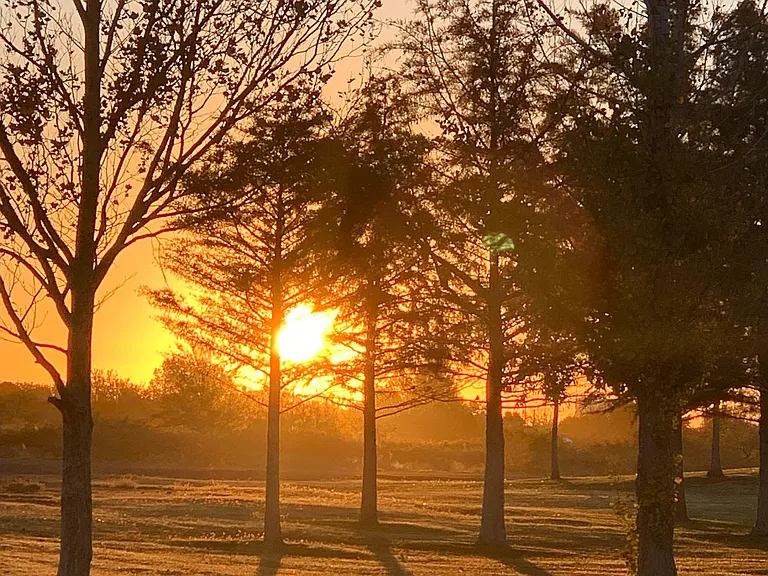 Cielo Park