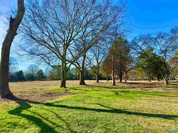 Breeding Dr, Hartselle, AL 35640