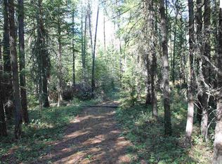 Nka Bear Track Ln, Careywood, ID 83809