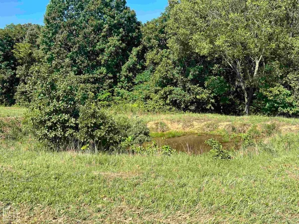 20 New Hope Rd, Hardy, AR 72542