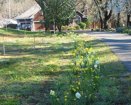View from driveway