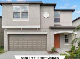 7224 Ronnie Gardens Ct, Tampa, FL 33619