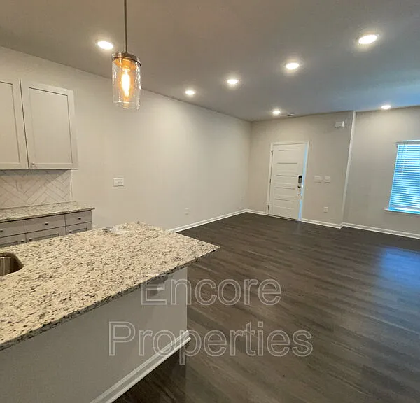 908 Robbie Jackson Ln — Photo 6