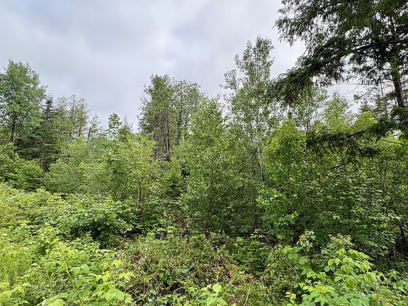 4th image of Lot 11 Mt. Jefferson Heights