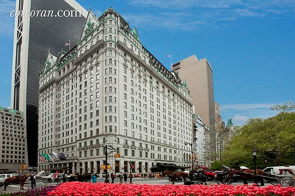 Sold by Corcoran | media 25