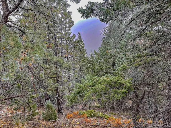 1111 Amazon Lode Drive, Jamestown, CO 80455