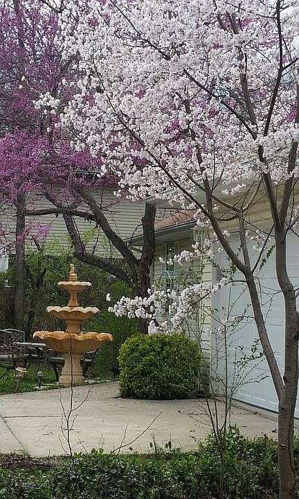 Gorgeous in Spring