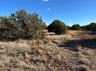 8455 Snowflake Cir #35, Show Low, AZ 85901