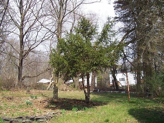 5th image of 622 Barnes Ave