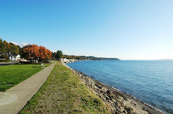 Beach Across the Street