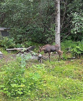 5th image of 13185 Bruno Rd