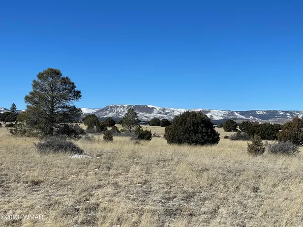 45 N 2003rd, Nutrioso, AZ 85932