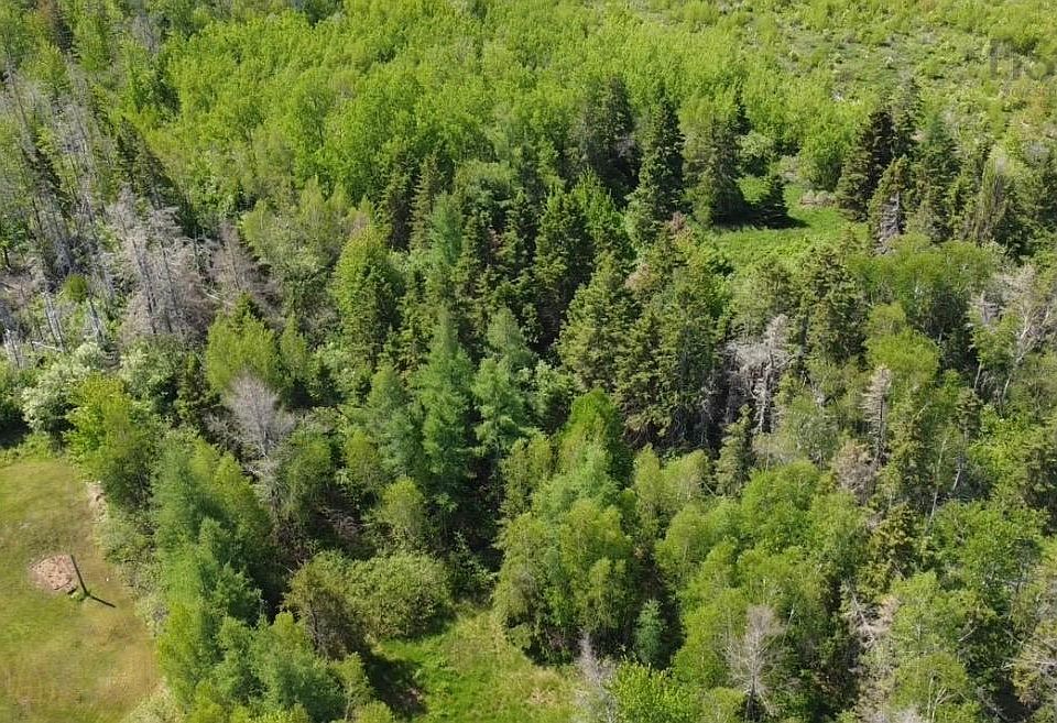 2nd image of 6 Trunk Hwy