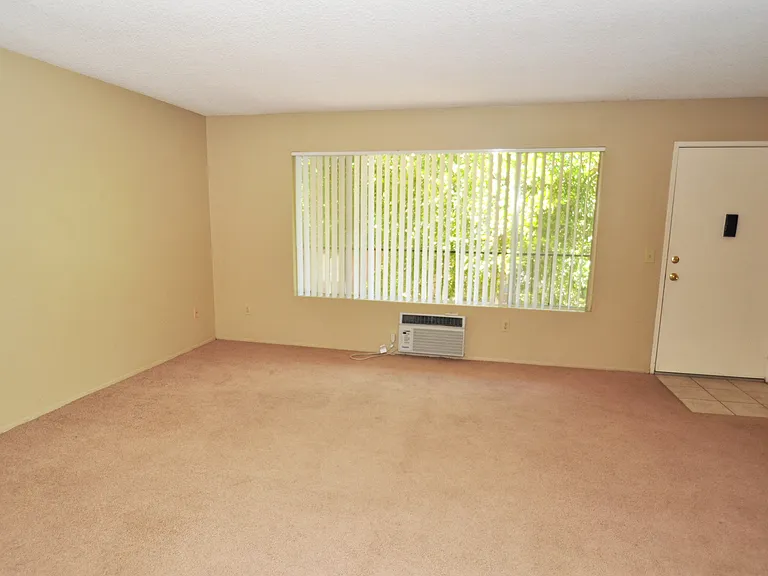 Ashwood Apartments — Photo 9