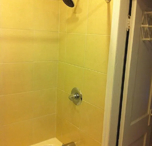 1870 Commonwealth Ave #5 — Photo 19