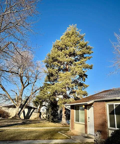 6088 S 2075 E — Photo 8