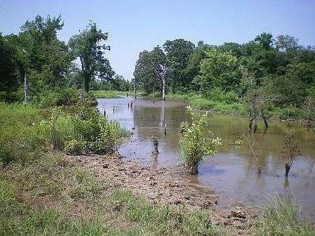 1st image of 56307 Us Highway 271