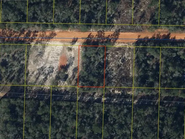 Xx W Royal Palm Ave, Defuniak Springs, FL 32433