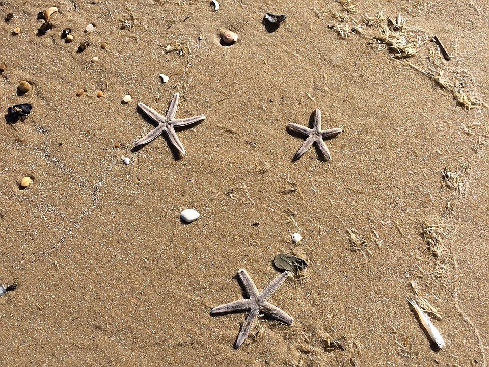 Stroll on the beach!