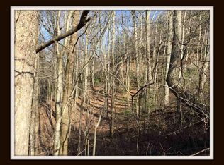 4336 Chamberlain Ln, Pigeon Forge, TN 37862