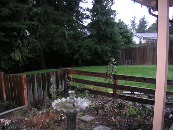 Front yard