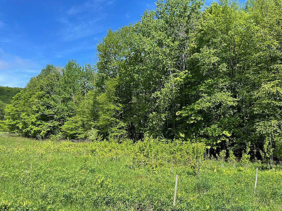 2nd image of 0 Dennis Hill Rd