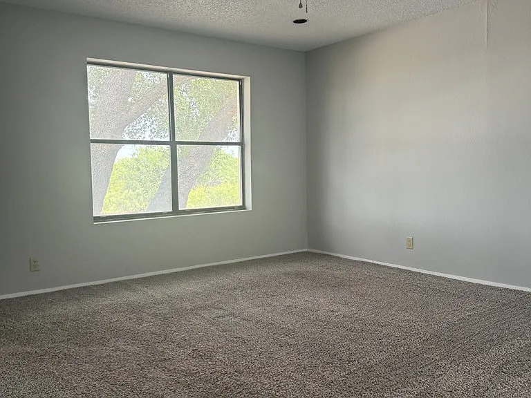 3602 Gemini Dr — Photo 8