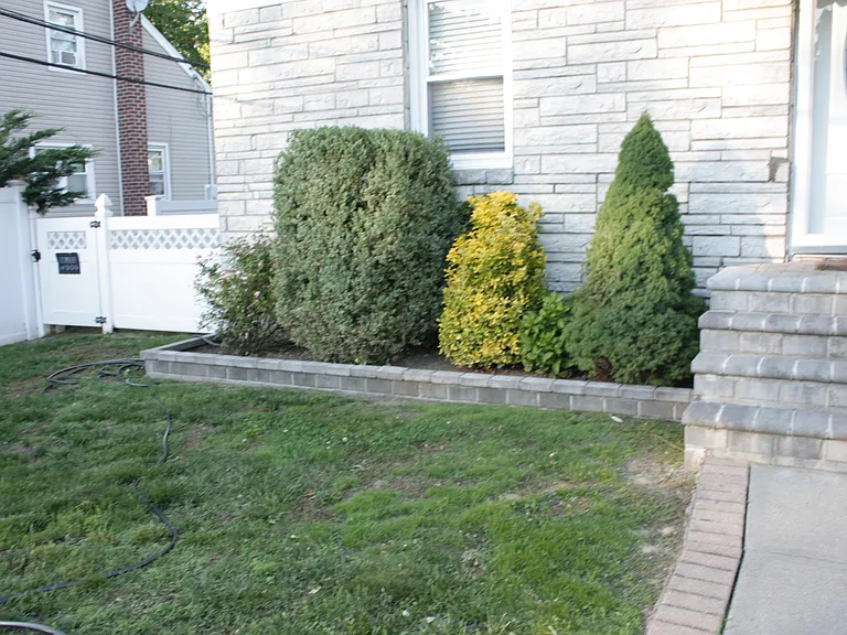 244 Lawrence St #1 — Photo 7