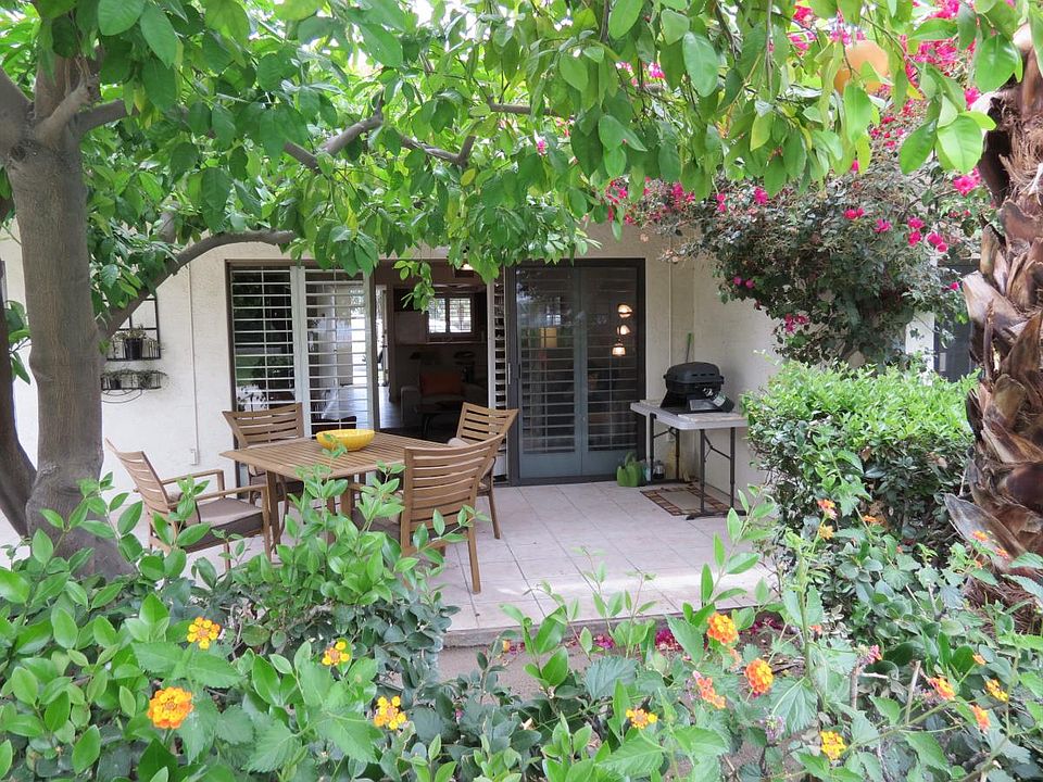 Lush patio with grapefruit tree