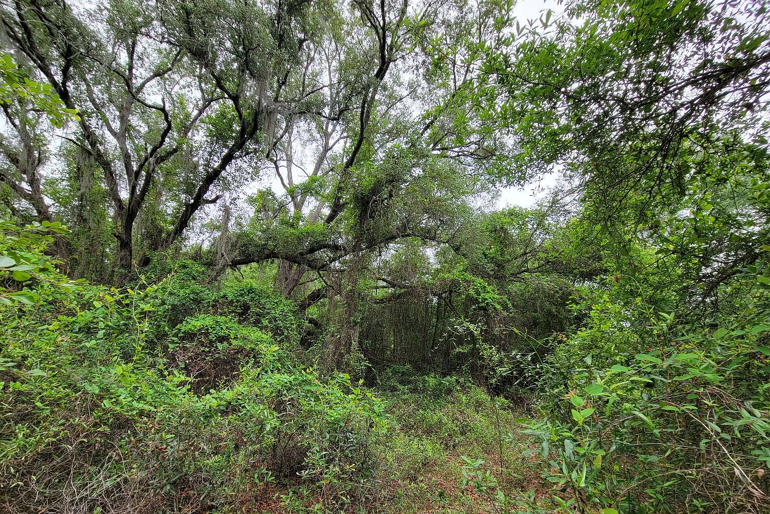 0 149th Rd, Live Oak, FL 32060 MLS 118059 Zillow