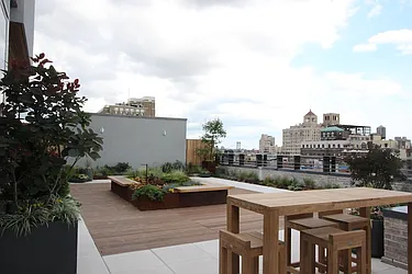 Rented by Maison International