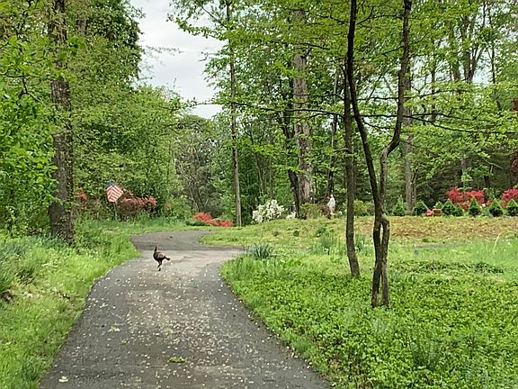 Lots of wildlife!