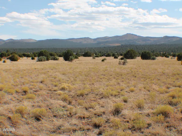 1568 Vernon McNary Rd, Vernon, AZ 85940