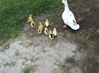 13346 Rome Rd, Manitou Beach, MI 49253