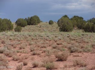 5399 Valley Rd, Snowflake, AZ 85937