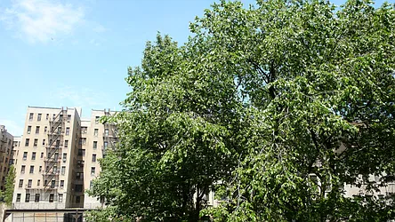 Rented by Keller Williams NYC