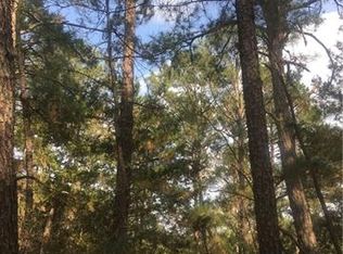 161 Kamaiki Dr, Bastrop, TX 78602