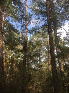 161 Kamaiki Dr, Bastrop, TX, 78602