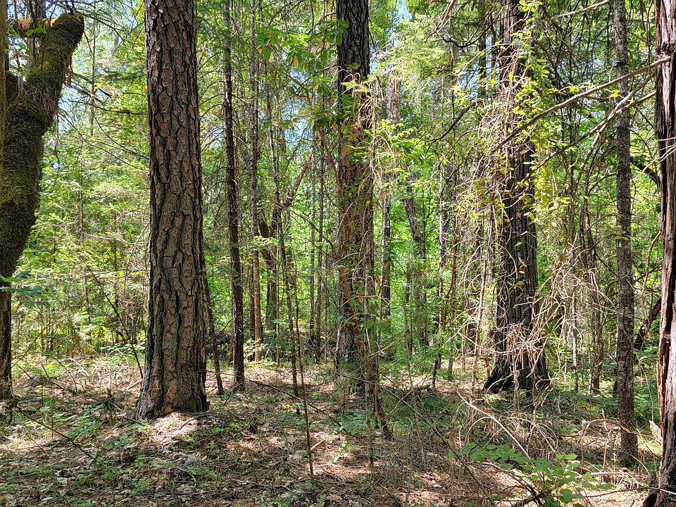 2nd image of Pleasant Cr Road 502 1200 #1000-1100