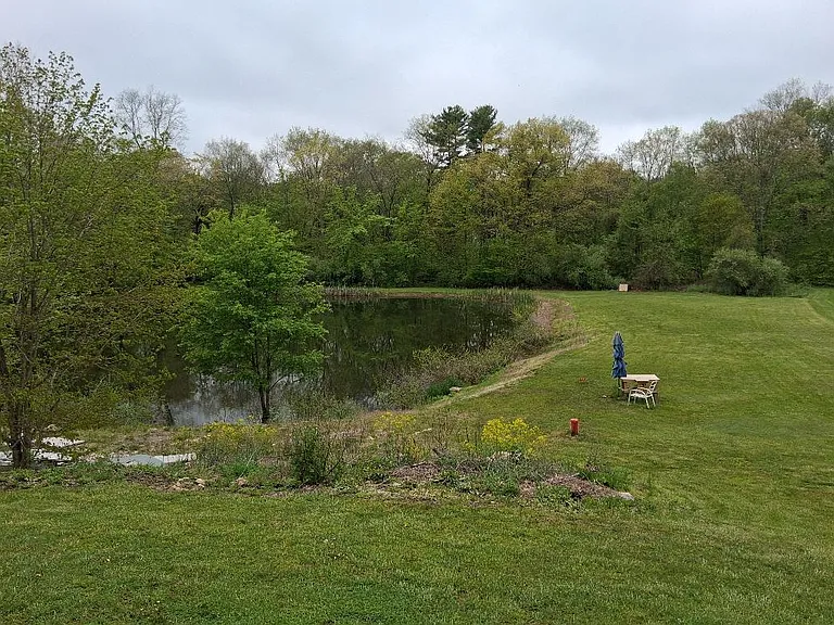 718 Forest Rd — Photo 4