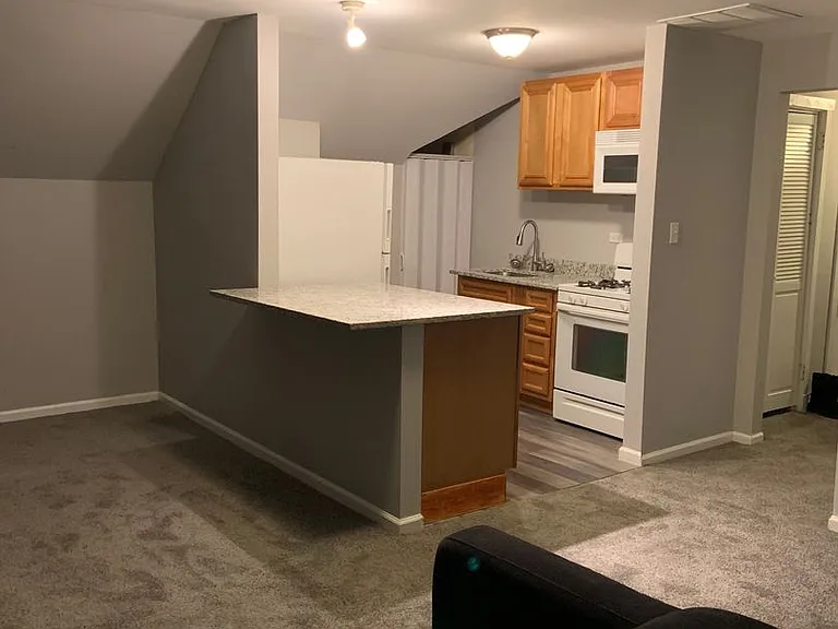 7147 S Princeton Ave — Photo 1