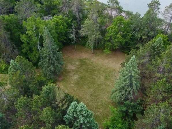 Little Cowhorn Public Access Rd, Grand Rapids, MN 55744