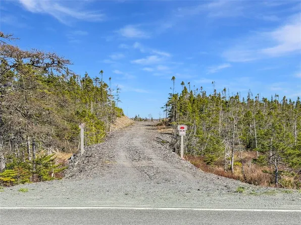 556 Salmonier Line, Salmonier, NL A0A2R0